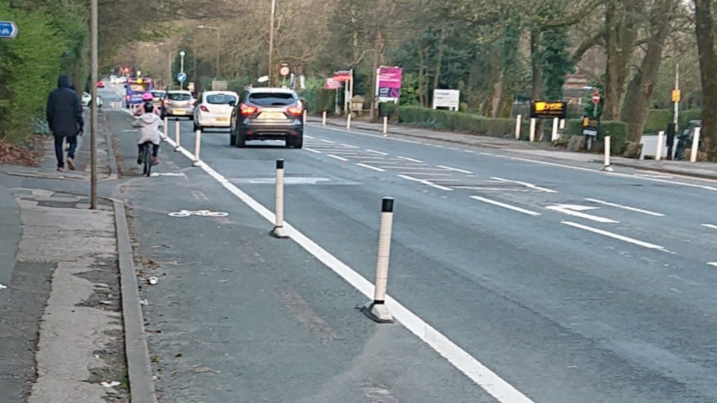 A road carrying motor traffic, with cycle lanes protected by wand orcas, with two youngsters cyclig in it.