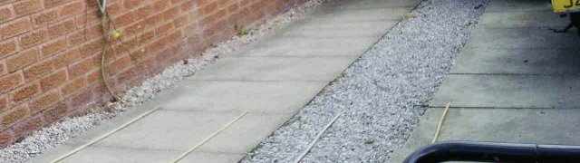 Image with bamboo canes